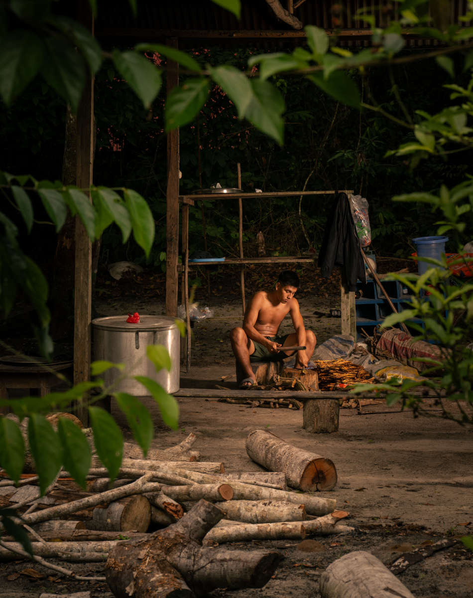 Preparation of the ayahuasca vine